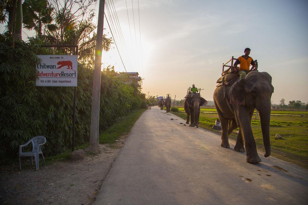 Chitwan Adventure Resort Саураха Экстерьер фото